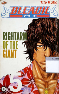 Image of Bleach Vol. 5: Rightarm of The Giant